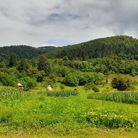 Pensiunea Sanziene Strîmtura 외부 사진