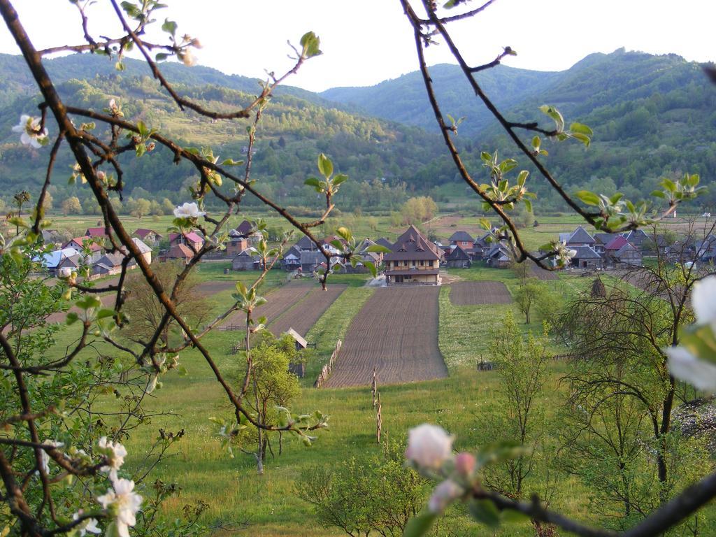 Pensiunea Sanziene Strîmtura 외부 사진